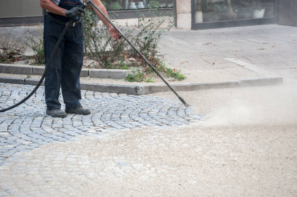 Best Pre-Holiday Cleaning  in Bronx, NY